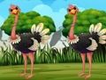 Laro Hanapin ang tag ng Ostrich  online