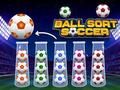 Laro Pag-uuri ng Bola ng Soccer  online