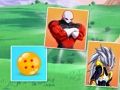 Laro DragonBall Match Card  online