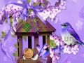 Laro Kahanga-hangang Humming Bird Land Escape  online