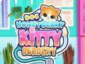 Laro Doc Honeyberry Kitty Surgery online