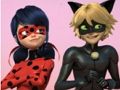 Laro Miraculous Ladybug at Cat Noir Jigsaw Puzzle  online