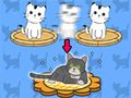 Laro Cat condo online