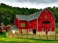 Laro Thanksgiving Rustic Farm Escape online