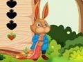 Laro Pagtakas ng Squirrel  online