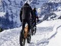 Laro Mountain bikes jigsaw online