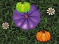 Laro Kulay ng Pumpkin Match  online