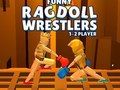 Laro Nakakatawang Ragdoll Wrestlers  online