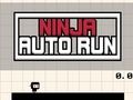 Laro Ninja Auto Run online