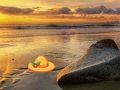 Laro Pagtakas Mula sa Sunset Beach  online