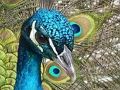 Laro Puzzle kit online