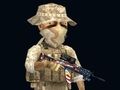 Laro Rush Team online