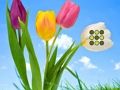 Laro Tumakas ang damuhan ng bulaklak online