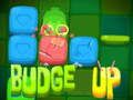 Laro Budge Up online