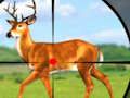 Laro Wild Hunting Games 3D  online