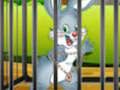 Laro Rabbits Carrot Conundrum online
