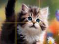 Laro Puzzle Sliding Kuting  online