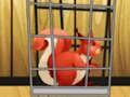 Laro Iligtas Ang Red Squirrel Mula sa Cage  online