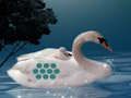 Laro I -save ang anak ng Swan Mother online