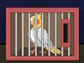 Laro Bitawan ang Ibong Cockatiel  online