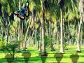 Laro Iligtas ang Tasmanian Tiger  online