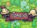 Laro Conq. io  online