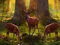 Laro Mapanganib na Hunter Animal Escape  online