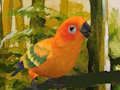 Laro Cute Budgie puzzle online