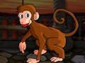 Laro Maliit na macaque escape online