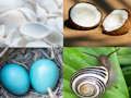 Laro 4 Pics 1 Word Game online