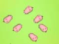 Laro I -save ang mga piggies online