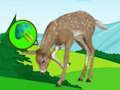 Laro Tumakas ang Deer Meadow online