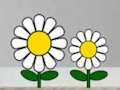 Laro Maghanap ng Succulent Plant  online