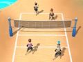 Laro Beach Volleyball 3d online