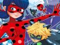 Laro Ladybug Hanapin ang Mga Pagkakaiba  online
