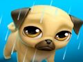 Laro Ang Aking Virtual Pet na si Louie the Pug  online