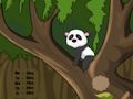 Laro Tumakas si Panda Jungle online