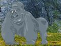 Laro Tulungan ang Hungry Chimpanzee  online