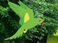 Laro Hanapin ng Parrot ang pugad online