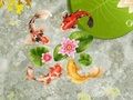 Laro Koi Fish Pond online