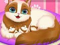 Laro Cute Kitty Buntis  online