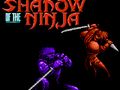 Laro Anino ng Ninja  online