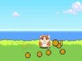 Laro Hamster Kombat Clicker online