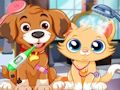 Laro Puppy Pet Vet Care online