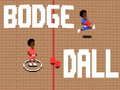 Laro Bodge Dall online