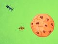 Laro Langgam laban sa Cookie  online