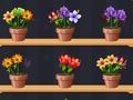 Laro Magandang Flower Master  online