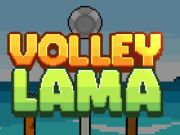 Laro Volley Lama online