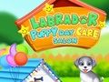 Laro Labrador Puppy Daycare Salon online
