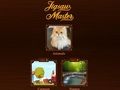 Laro Jigsaw Master online